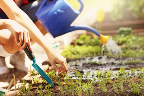 Gardener mowing a suburban Chislehurst lawn