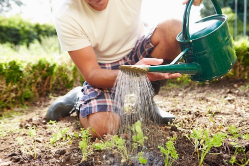 Close-up of gardening tools and gloves on a wooden bench
