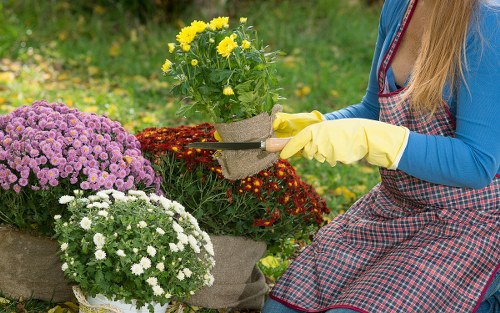 Eco-friendly garden maintenance practices
