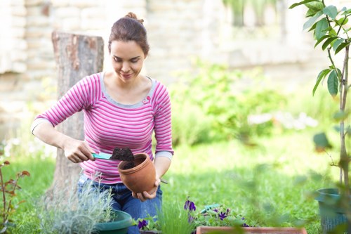 Sustainable garden features including rainwater harvesting in Chislehurst