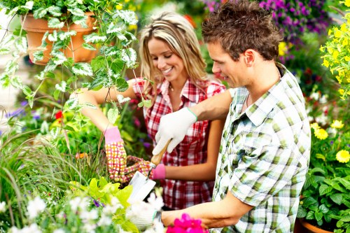 Selection of native plants ideal for landscape gardening in Chislehurst