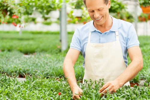 Gardener wearing PPE while operating a hedge trimmer