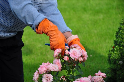 Garden clearance team removing overgrown vegetation in a suburban plot