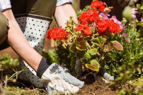 Operative assessing garden grounds with tools nearby